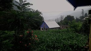 Home Beyond Borders